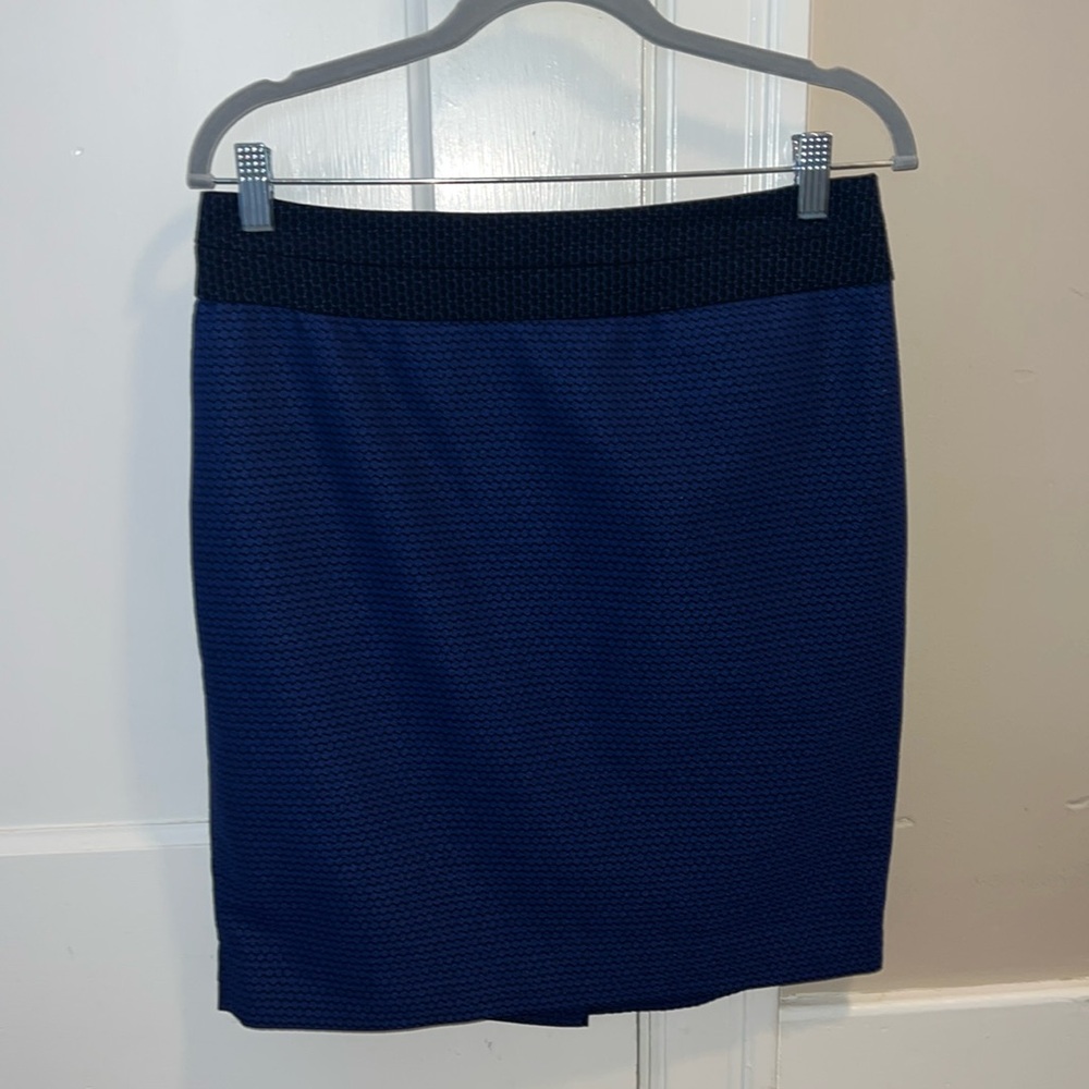 The Limited Pencil Skirt Size 8